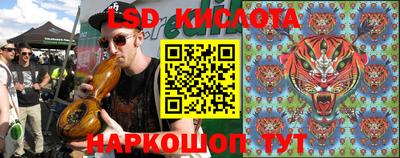 шишки Балашиха