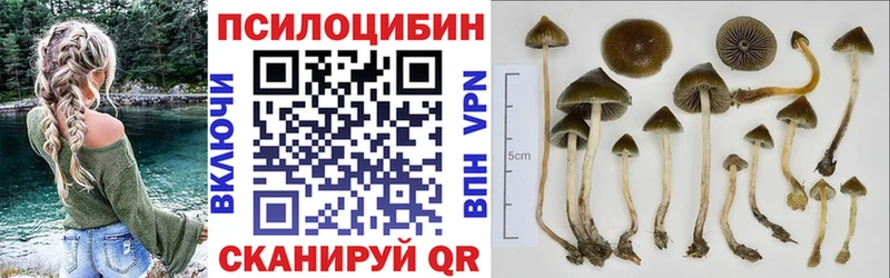 Псилоцибиновые грибы Magic Shrooms Вичуга