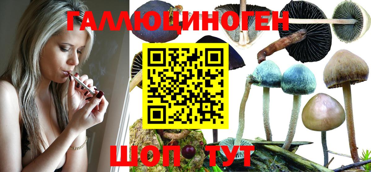 Вичуга  Галлюциногенные грибы MAGIC MUSHROOMS  Вход с VPN 