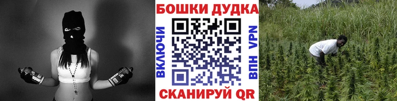 Каннабис Bruce Banner Вичуга